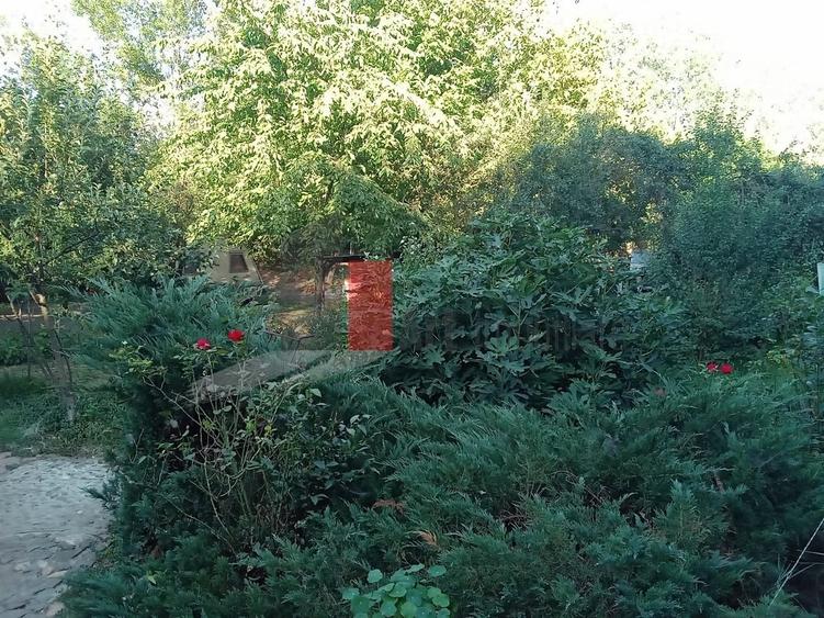Teren în Copăceni