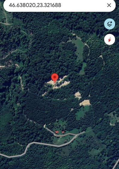 Teren de vanzare VALEA IERII 12.000 MP