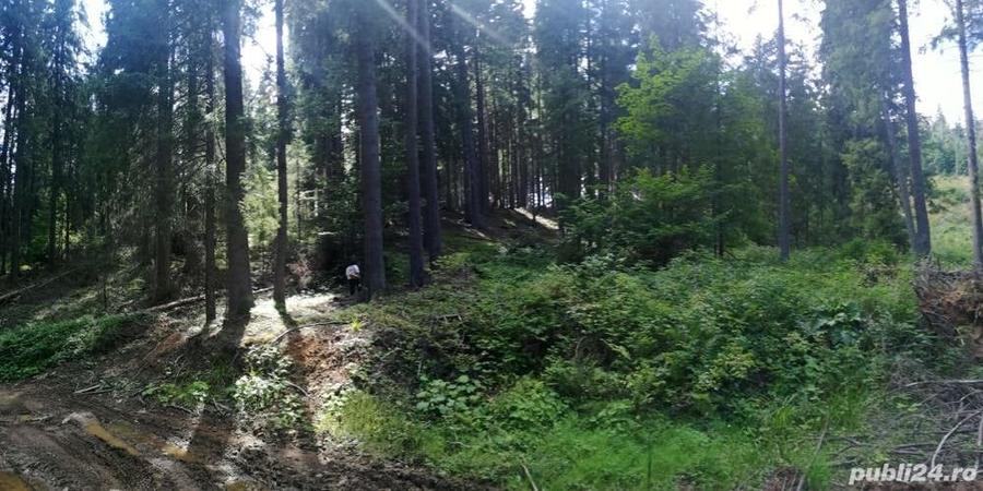 Teren de 410 mp, în Cătina
