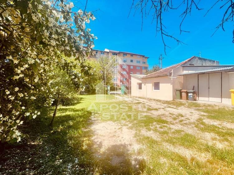 Birou, de 67.050003051758 mp, în Alfa