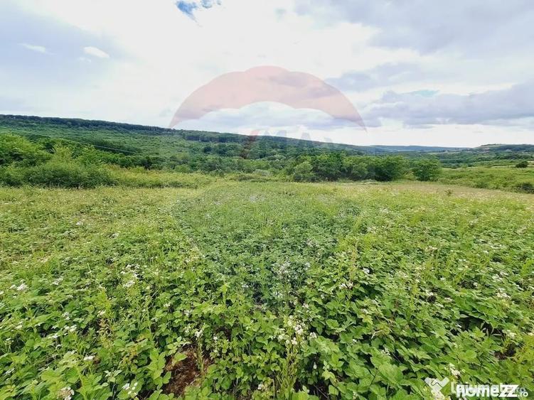 Teren în Hidiș