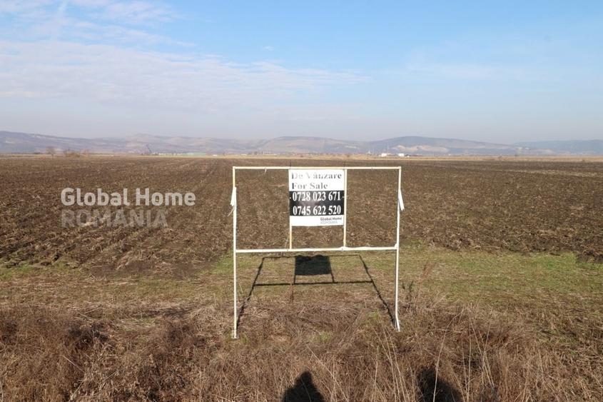 Teren Construcții intravilan de 37500 mp, în Sud-Vest