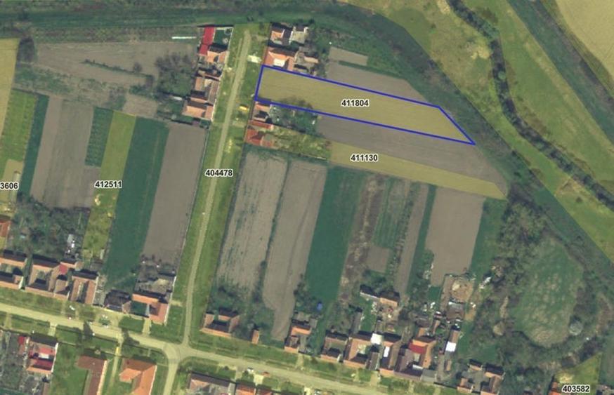 Teren Construcții intravilan de 3830 mp, în Boldur