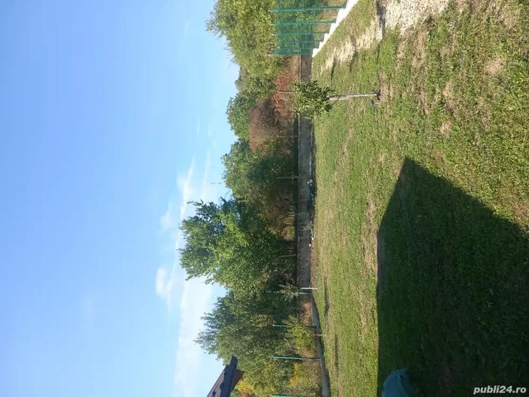 Casă cu 2 camere în Călinești