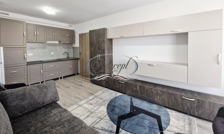 Apartament cu 2 camere semidecomandat, mobilat în Someșeni
