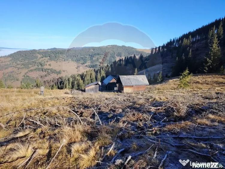 Teren de 31461 mp, în Panaci