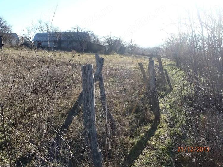Teren de 2600 mp, în Telița
