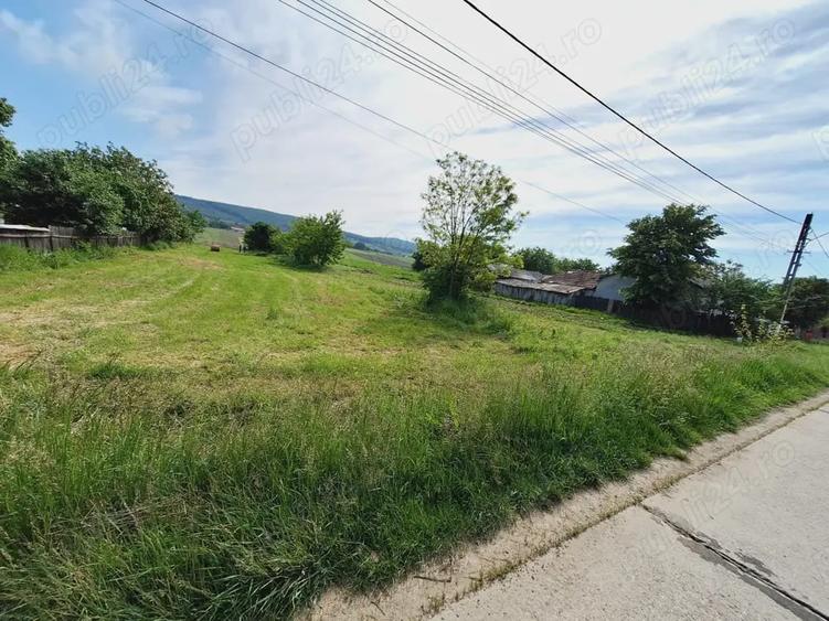 Teren de 4500 mp, în Siliștea