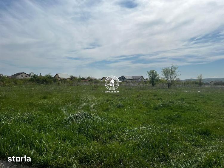 Teren de 4016 mp, în Frumoasa