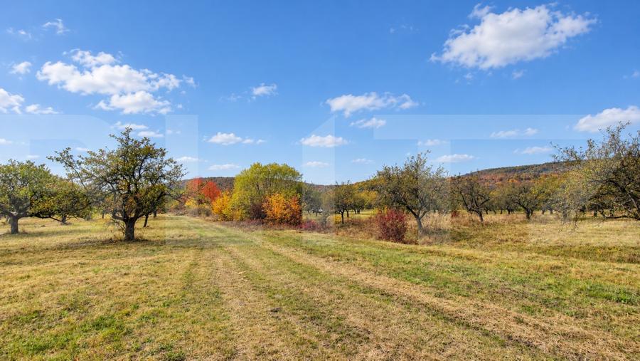 Teren agricol extravilan de 1100 mp, în Zălan