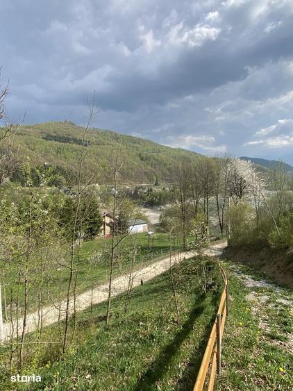 Teren de 4360 mp, în Valea Doftanei