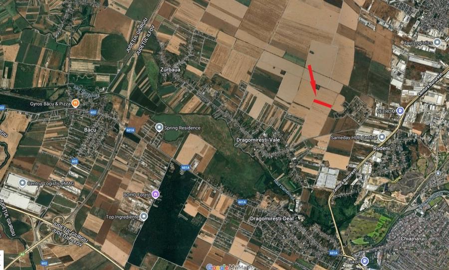 Teren agricol extravilan de 10000 mp, în Dragomirești-Vale
