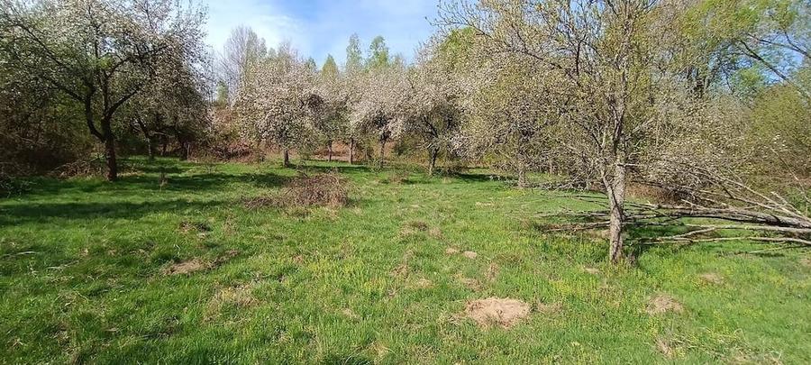Teren de 8864 mp, în Voislova