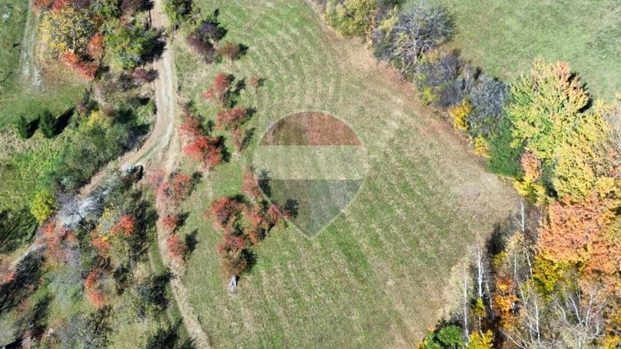 Teren agricol intravilan de 3000 mp, în Sohodol