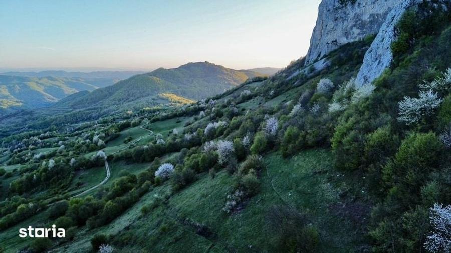 Teren de 35000 mp, în Ciuruleasa