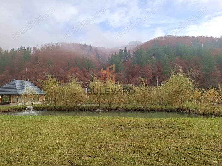 Casă cu Teren 6300 Mp în Groși