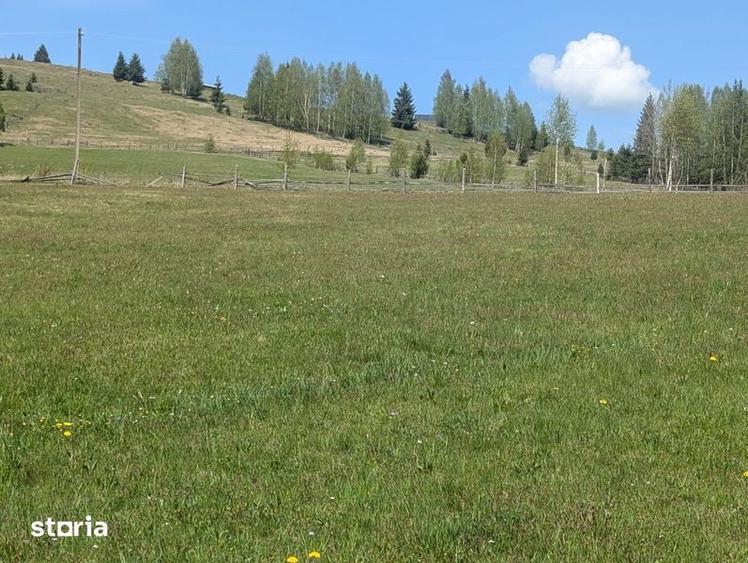 Vand teren la munte intravilan in Sarul Dornei la 8 km de Vatra Dornei - 1