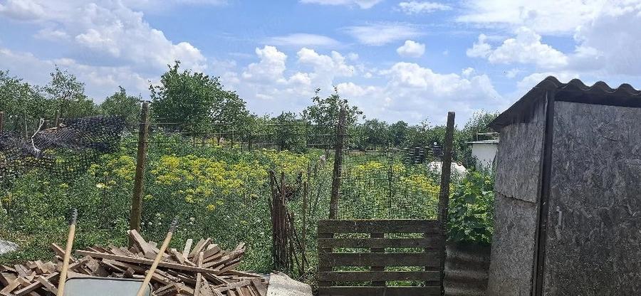 Casă cu 3 camere cu Teren 950 Mp în Cruceni