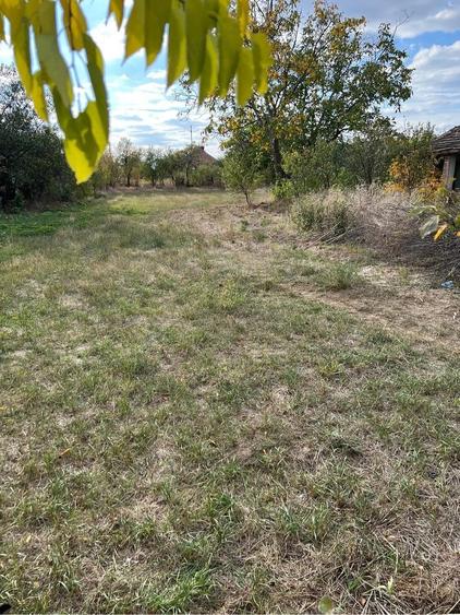 Casă cu Teren 800 Mp în Hodoni