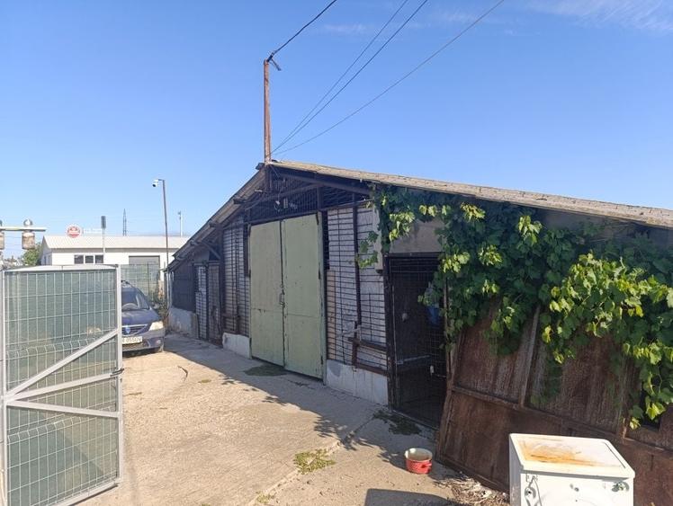 Vand sau inchiriez teren+hala 3200mp aproape de strada Focsani (Chercea)pret 155000 - 6