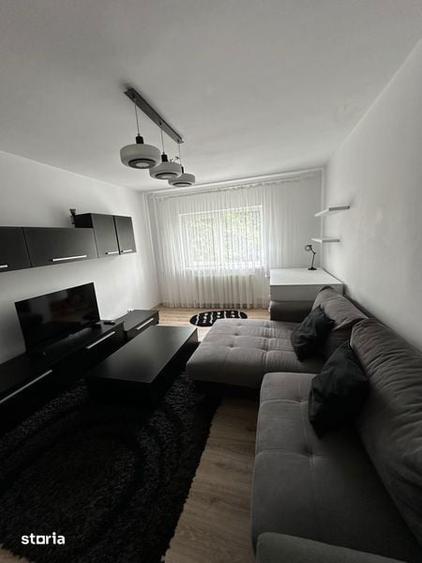 Inchiriere apartament 2 camere, 49 mp - Paltinis, Scoala 23 - 3
