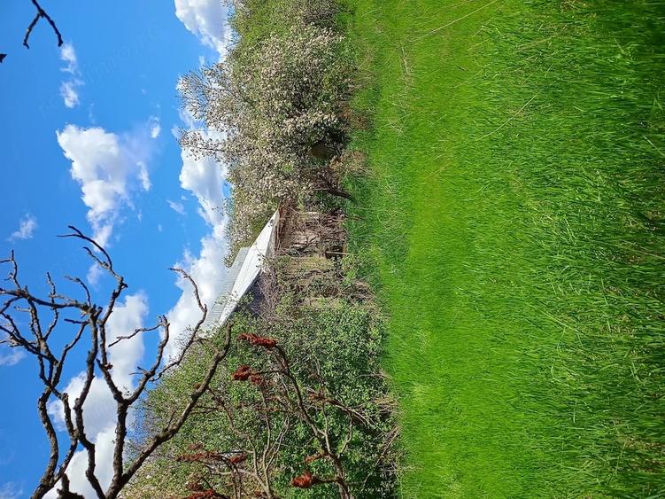 Casă cu Teren 1000 Mp în Central