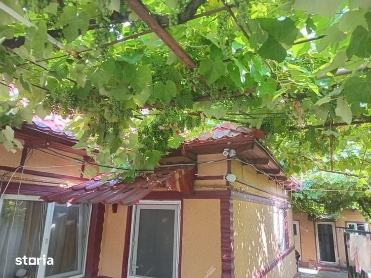 Garsonieră în Central