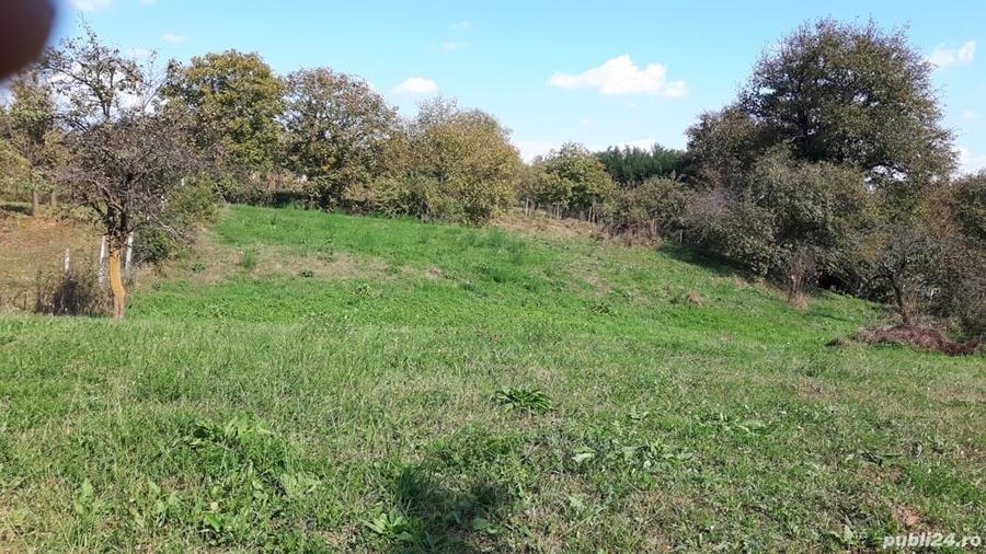 Teren de 4800 mp, în Vidra