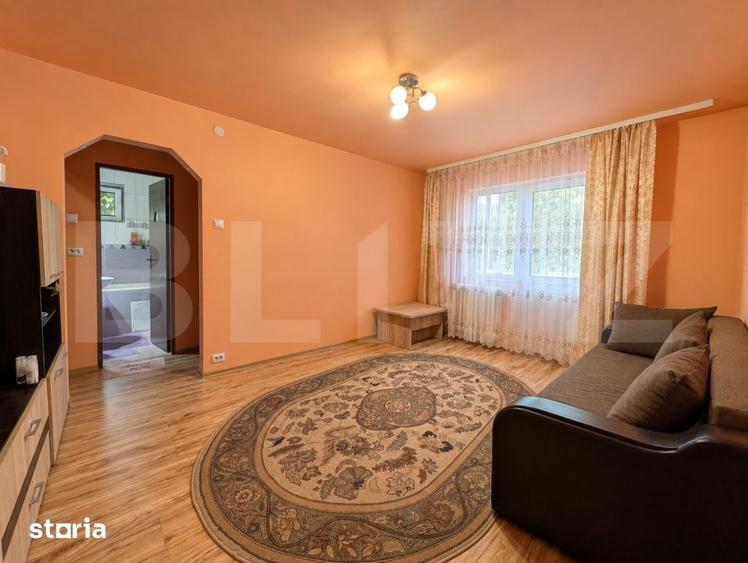 Apartament cu 2 camere semidecomandat, mobilat în Ceangăi