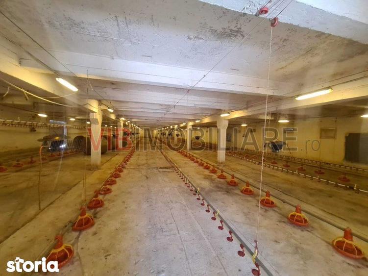 Teren de 35000 mp, în Funcționarilor