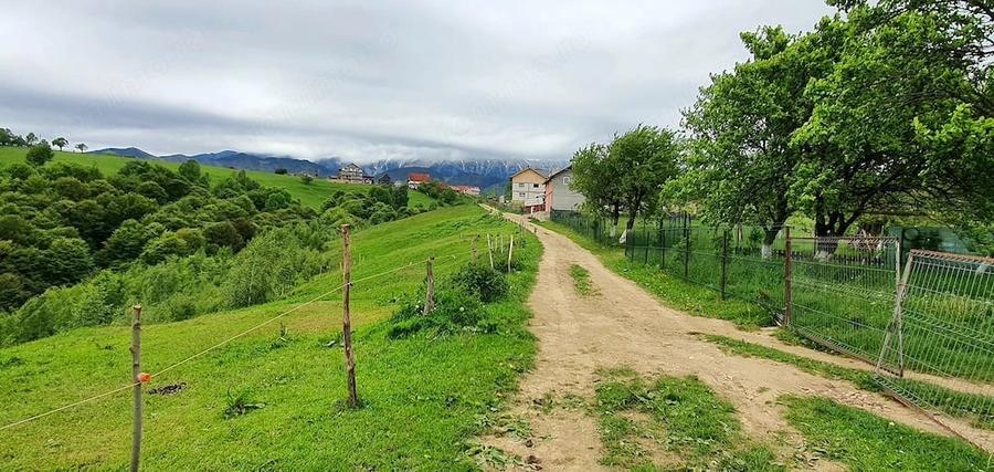 Teren de 2500 mp, în Peștera