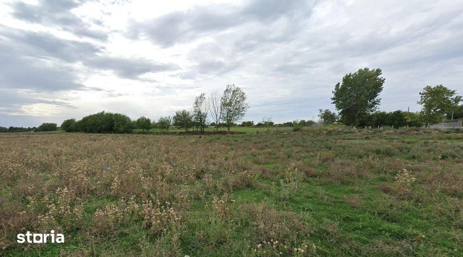 Teren intravilan - 4.000 mp, Loc. Roseti - 4