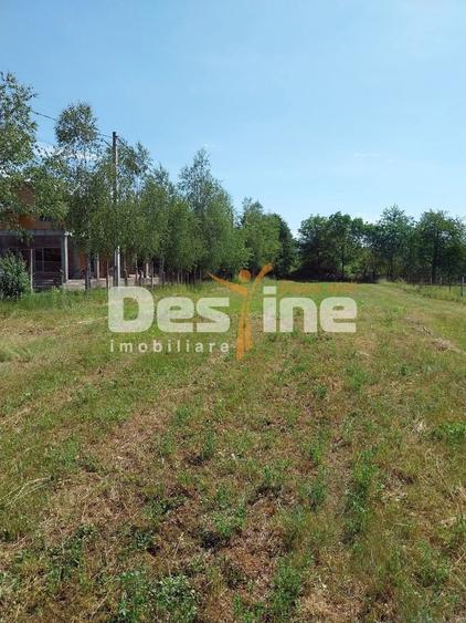 Teren Construcții intravilan de 12500 mp, în Drajna de Sus