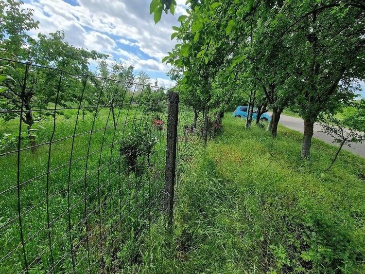 Teren de 1250 mp, în Rași