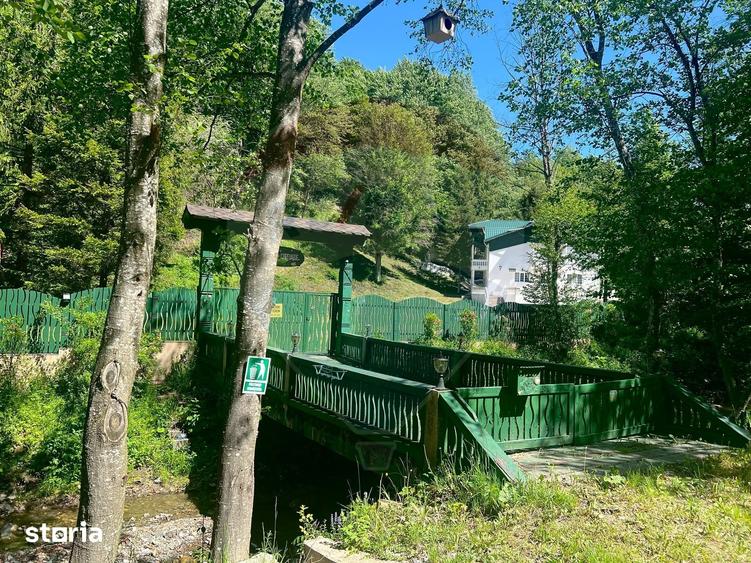 Casă cu Teren 2362 Mp în Tulnici