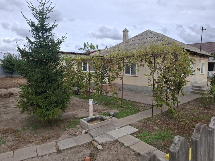 Casă cu 3 camere în Poarta Albă