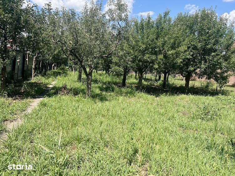 Casă cu 4 camere cu Teren 1819 Mp în Ciugud