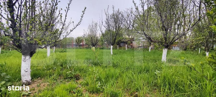 Casa Gaesti Aproape de Centru, 1600 mp Teren Generos - Livada Gra - 10
