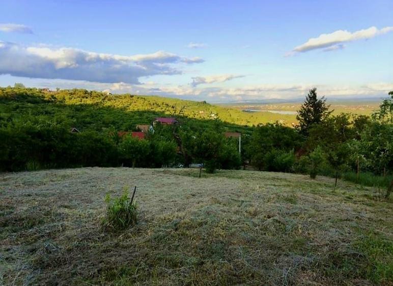 Teren intravilan de 1765 mp, în Podgoria