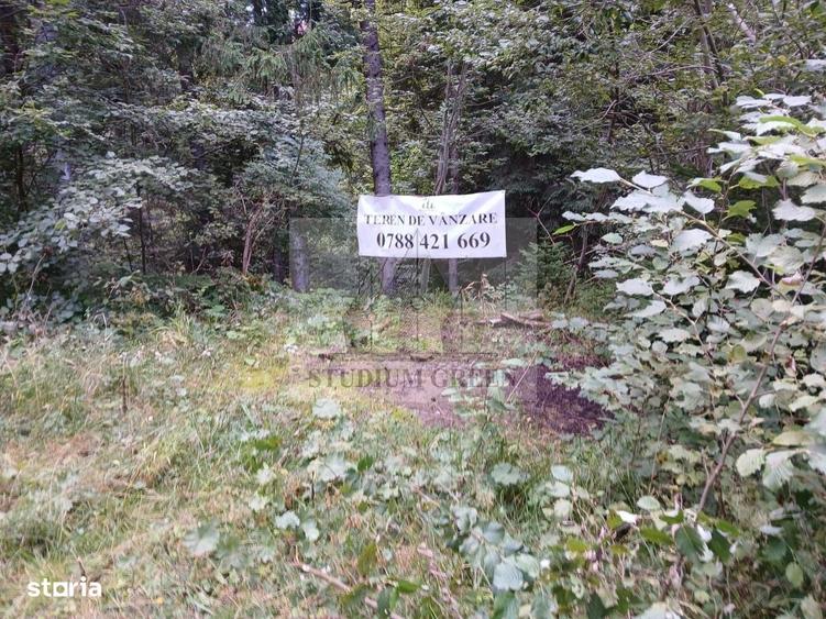 Spațiu comercial, în Predeal
