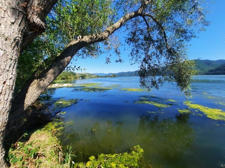 Teren de 1000 mp, în Berzasca
