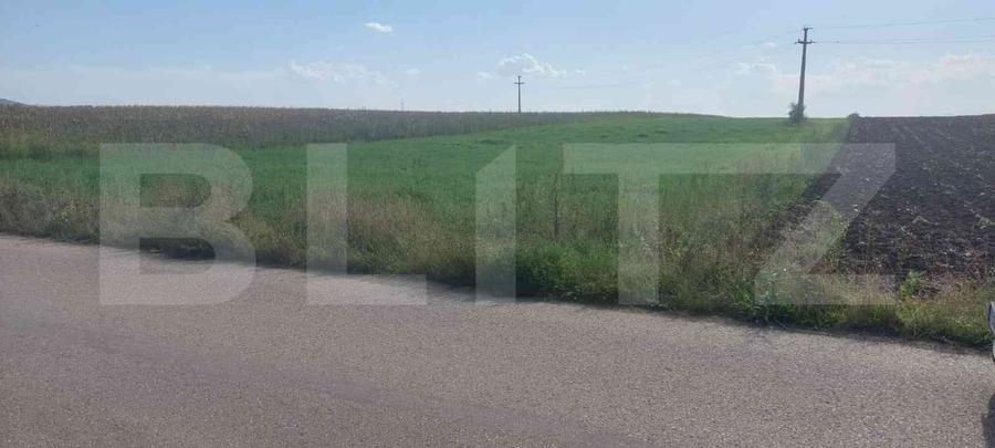 Teren Construcții intravilan de 5800 mp, în Gligorești