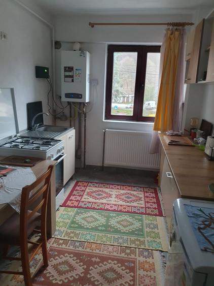Apartament 2 camere, etaj 1, in statiunea Baile Govora - 8