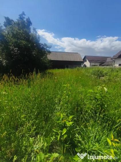 Teren de 10000 mp, în Măneuți