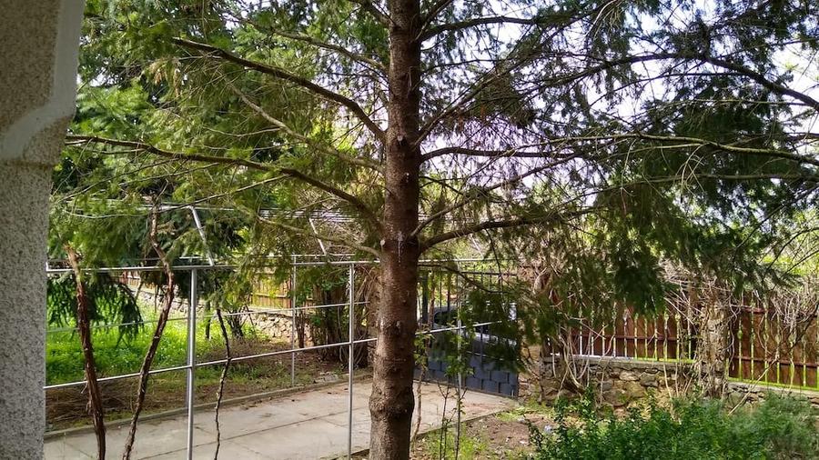 Vand casa in Cuvin com.Ghioroc jud.Arad - 4