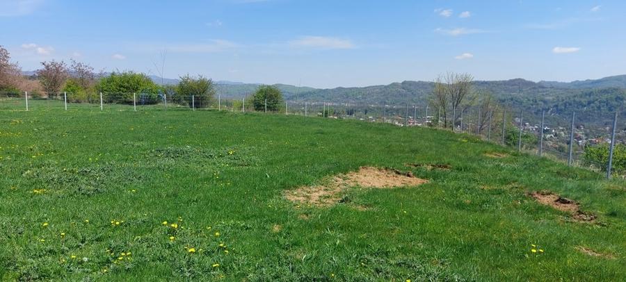 Teren Construcții intravilan de 9900 mp, în Mușcel