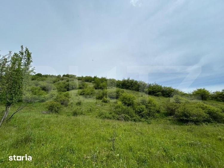 Casă cu 8 camere cu Teren 8700 Mp în Mintiu Gherlii