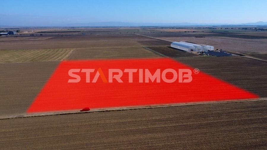 Teren agricol extravilan de 19739 mp, în Exterior Sud