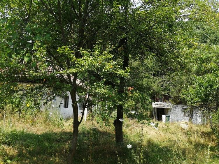 Teren în Central