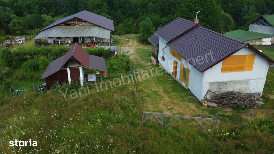 Teren de 55422 mp, în Bughea de Jos